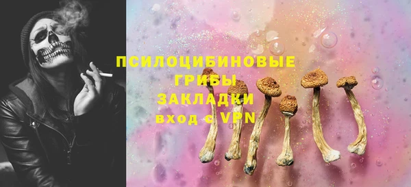 прущий лед Белокуриха