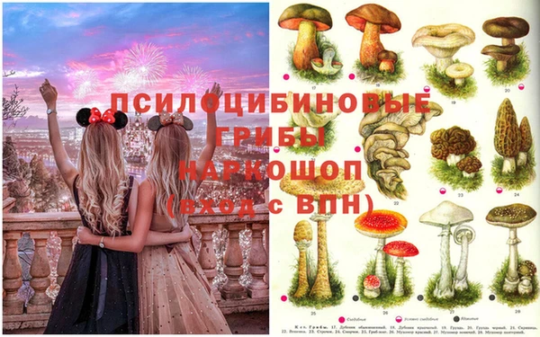 соль ск Коряжма