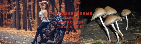 кокс Белоозёрский