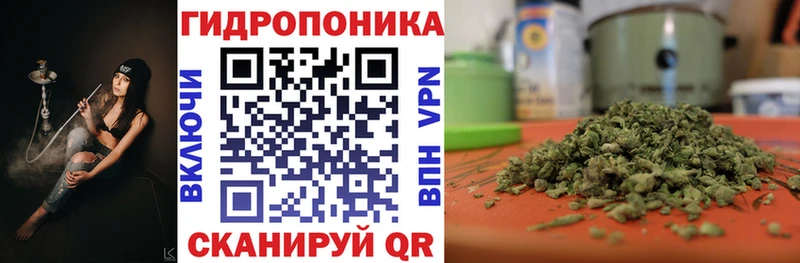 МАРИХУАНА семена  Купить где  Асино 